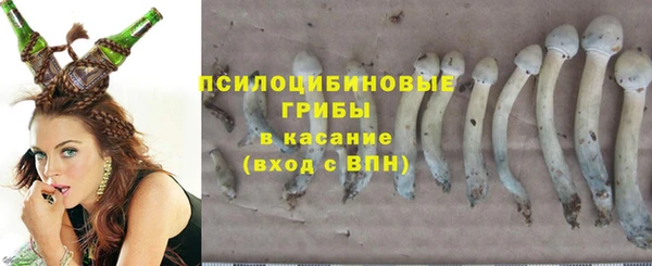 стаф Семилуки