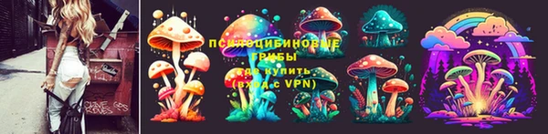 стаф Семилуки