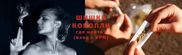 стаф Семилуки
