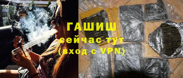 стаф Семилуки