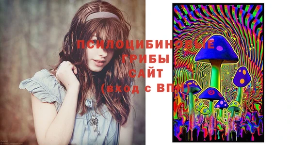 стаф Семилуки
