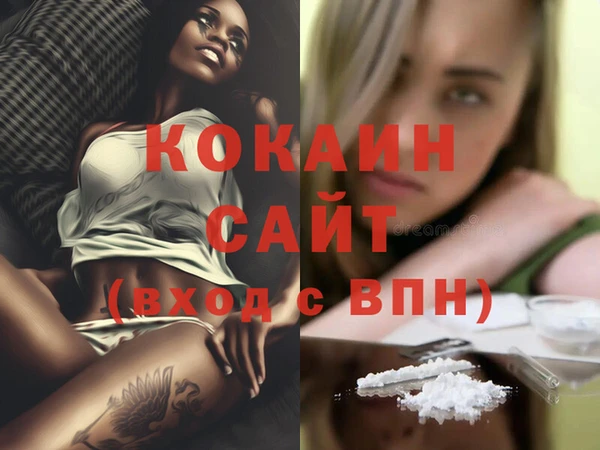стаф Семилуки
